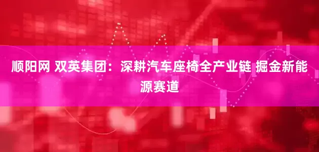 顺阳网 双英集团：深耕汽车座椅全产业链 掘金新能源赛道