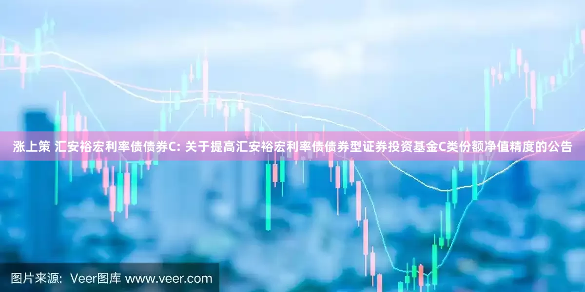 涨上策 汇安裕宏利率债债券C: 关于提高汇安裕宏利率债债券型证券投资基金C类份额净值精度的公告