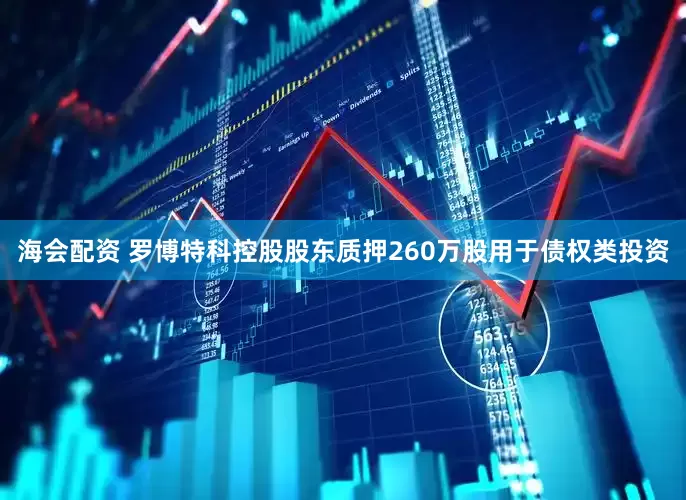 海会配资 罗博特科控股股东质押260万股用于债权类投资