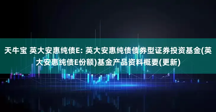 天牛宝 英大安惠纯债E: 英大安惠纯债债券型证券投资基金(英大安惠纯债E份额)基金产品资料概要(更新)